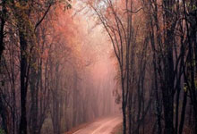 世界杯正规买球app -哈弗茨伤停(tíng)补时绝殺(shā)，阿(ā)森纳1-0葡萄牙体育