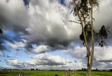 世界杯合法买球app -西甲综合：库尔图瓦送点 皇马客负奥萨苏纳