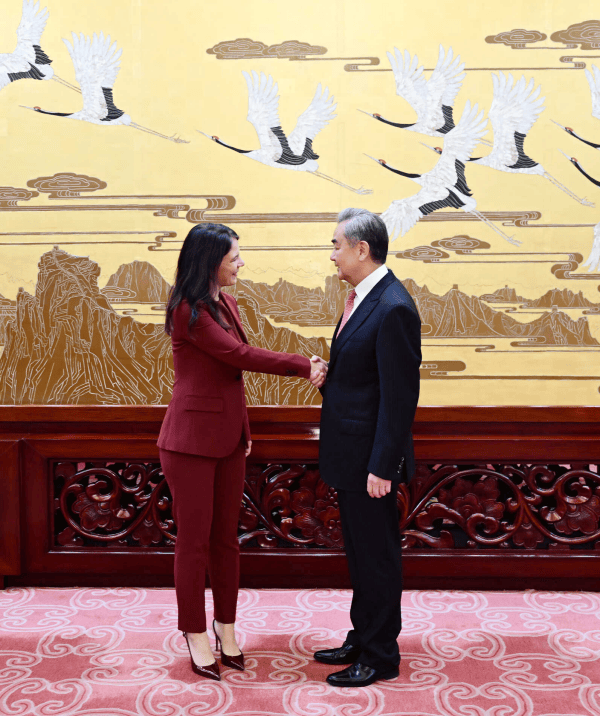 王毅会见贝尔伯克